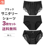 2026 福袋【3枚組 送料無料】サニタリーショーツ 3枚セット ブラック (女性 生理用ショーツ レディース …