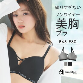福B ブラジャー badass ノンワイヤー 美胸ブラ シームレス 単品ブラジャー( 下着 レディース 女性 ブラ 楽ちん 低反発 シームレスブラ かわいい下着 ノンワイヤーブラ シンプル 可愛い チルタイム 旅行)