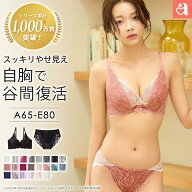 【まとめ買い20％OFFクーポン】ブラジャー 脇肉 カシュクールレース 脇高ブラ(R) ブラジャー&ショーツ(女…