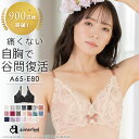 【バーゲン 特別価格】ブラジャー 育乳 カシュクールレース 脇高ブラ(R) 単品ブラジャー(下着 女性 ブラ 谷間 育成 脇高 脇肉 セクシー 総レース 痛くない 盛りブラ 盛ブラ 小胸 レディース 育乳ブラ いくにゅうぶら 盛れるブラ 寄せ 上げ 補正下着 補正ブラ 可愛い