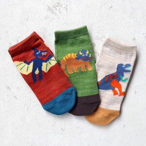 stample X^v _Ci\[II\bNX 3g  q ǂ LbY C j̎q ̎q \bNX C LbY  q ʉ ʊw  킢 ₷ E₷