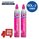 【同時交換】[公式] ソーダストリーム 交換用 クイックコネクト ガスシリンダー 60L×2本 sodastream (GAIA TERRA ART…