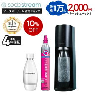 【先着1万名】2000円キャッシュバック＋【マラソンセール10%OFF】 | TERRA スターターキット |最大4年保…