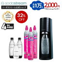 【先着1万名】2000円キャッシュバック＋【夏本番セール32%OFF】 | TERRA(テラ) 超特別パッケージ |最大4年保証 返金保…
