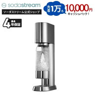 【先着1万名】10000円キャッシュバック｜ソーダストリーム enso (エンソウ) スターターキット　ステンレ…