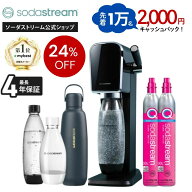 【先着1万名】2000円キャッシュバック＋【マラソンセール24%OFF】 | ART(アート)スターターキット 特別パ…