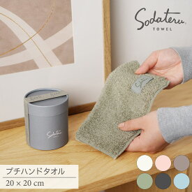 【育てるタオル 公式】feel プチハンドタオル 箱入り タオルハンカチ メンズ レディース タオルギフト プレゼント のし カード お礼 プチギフト 誕生日 退職祝い 綿100％ 友人 両親 彼氏 彼女 男性 女性