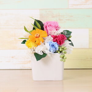 v[g Mtg vU[uht[ o AWg J[l[V L[u 킢 Vv ͂Ȃ  NX}X a LO j LO  җ ސE 