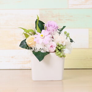 v[g Mtg vU[uht[ o AWg J[l[V L[u 킢 Vv ͂Ȃ  a LO j LO  җ ސE  蕨 t