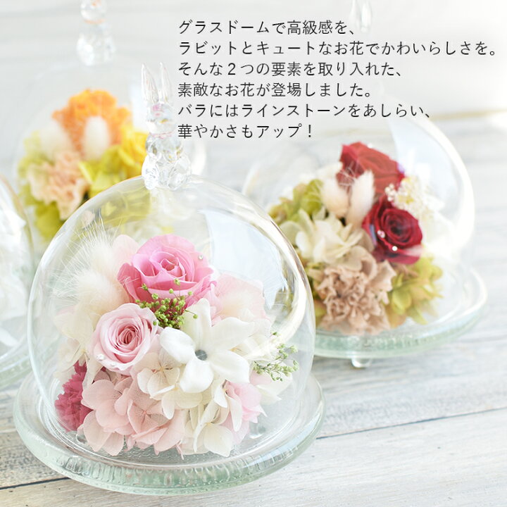 楽天市場 プリザーブドフラワー バラ ガラスドーム うさぎ 花 フラワー アレンジメント ラインストーン クリスタル 誕生日 バースデー 記念日 結婚式 結婚記念日 ギフト プレゼント 贈り物 彼女 妻 母 あす楽13時〆 送料無料 プリザーブドフラワーsoelflowers