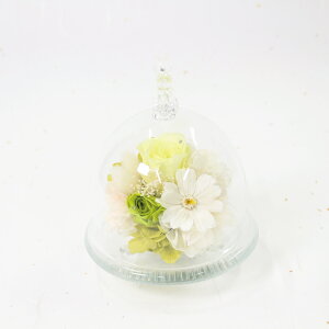 v[g vU[uht[ KXh[ ͂Ȃ  o [Y KN J[l[V 킢 OX   AWg h[ a j ސE җ  j