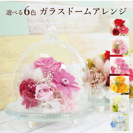 プレゼント プリザーブドフラワー ガラスドーム 枯れない 花 バラ ローズ 薔薇 カーネーション かわいい グラス うさぎ おしゃれ アレンジメント ドーム 誕生日 結婚祝い 退職 還暦 送別 祝電 ガラスケース 結婚記念日 ギフト 贈り物 お祝い 彼女 妻 母 義母 女性 祖母 友達