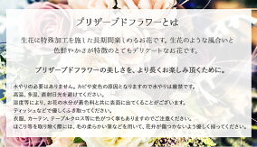 ギフトドームキュート&ゴージャスプリザーブドフラワースワロフスキーグラスガラス花インテリア誕生日父の日