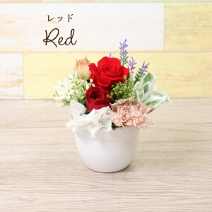 v[g aV vU[uht[ o v` J[l[V a ܂ꂽ LO  TvCY t[Mtg Mtg 蕨 j  AWg Zbg җ 