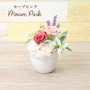 v[g aV vU[uht[ o v` J[l[V a ܂ꂽ LO  TvCY t[Mtg Mtg 蕨 j  AWg Zbg җ 