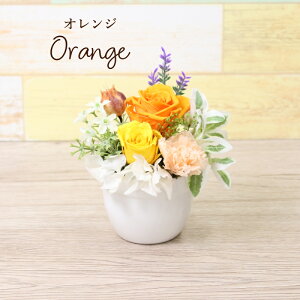 v[g vU[uht[ ͂Ȃ  o J[l[V v`  AWg NX}X j җj a LO j  ސEj  Ď  P