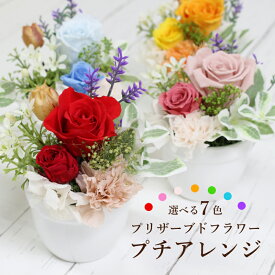 プレゼント プリザーブドフラワー 枯れない 花 バラ カーネーション プチ 小さい アレンジメント 結婚祝い 還暦祝い 誕生日 結婚記念日 お祝い 長寿 退職祝い 送別 米寿 喜寿 傘寿 可愛い 贈り物 フラワー ギフト ミニサイズ 父 母 夫 妻 義母 祖父 祖母 彼女 花婚式