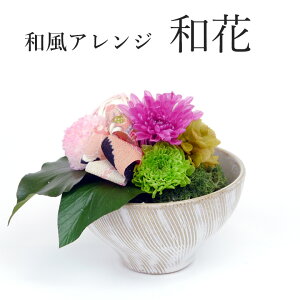 v[g vU[uht[ a AWg a_ aeCXg ͂Ȃ  Mtg 蕨 j LO ސEj t[Mtg a CeA җ Ê P 