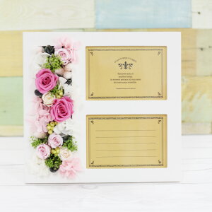 v[g vU[uht[ ͂Ȃ  o ʐ^  tHgt[ ʐ^ Ebh ؐ Mtg 蕨 j ސE a  җ jd j LO  ` c