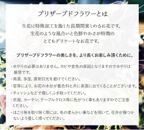 プリザーブドフラワーとは