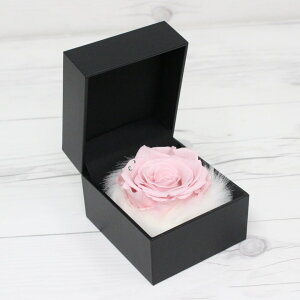 yyVLO1ʁz v|[Y vU[uht[ o KN  v[g TvCY A[T _Ch[Y y[p[U[  LO LO Nj a 