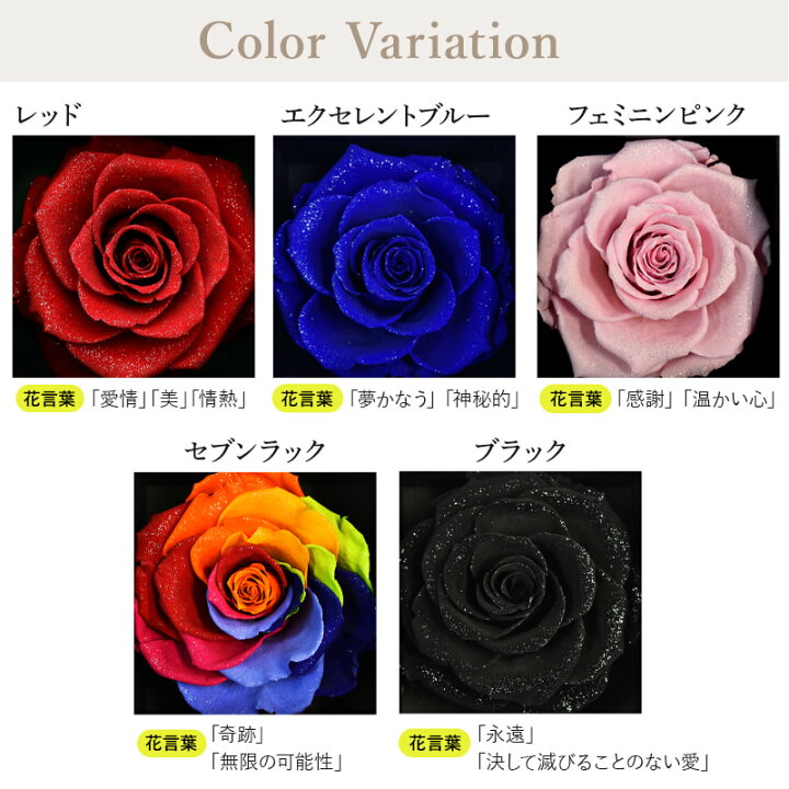 楽天市場 プロポーズ プリザーブドフラワー バラ 薔薇 ローズ アモローサ ダイヤモンドローズ L 告白 結婚記念日 結婚式 記念日 誕生日 バースデー お祝い プレゼント ギフト フラワーギフト 贈り物 彼女 妻 母 女性 パートナー 花 赤 ボックス 箱パカ 送料無料 あす楽