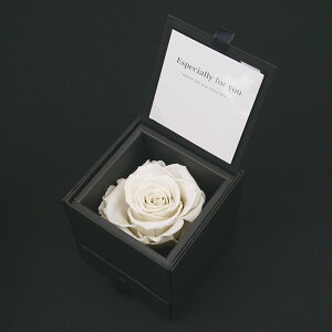 v|[Y vU[uht[ o KN [Y ͂Ȃ  Nj A[T _Ch[Y   P WG[ w lbNX sAX O P[X  j 