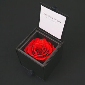 v|[Y vU[uht[ o KN [Y ͂Ȃ  Nj A[T _Ch[Y   P WG[ w lbNX sAX O P[X  j 