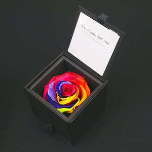 v|[Y NX}X vU[uht[ o KN [Y ͂Ȃ  Nj A[T _Ch[Y  P WG[ w lbNX sAX O P[X  j