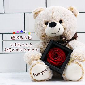 【ランキング1位】 プロポーズ プリザーブドフラワー バラ 薔薇 一輪 1本 枯れない 花 可愛い ぬいぐるみ くま テディベア アモローサ ダイヤモンドローズ ラメ 告白 結婚祝い 結婚記念日 周年祝い 誕生日 花婚式 プレゼント ギフト 贈り物 お祝い 彼女 妻 母 女性 ボックス