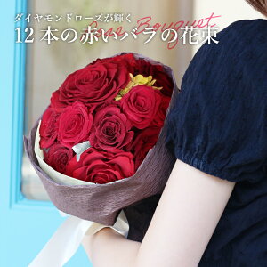 v|[Y vU[uht[ o ԑ ͂Ȃ   12{ 12 u[P A[T ỏԑ _Ch[Y KN [Y  j  LO a LO ʂ