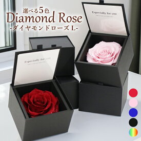 プロポーズ プリザーブドフラワー バラ 一輪 薔薇 ローズ 枯れない 花 アモローサ ダイヤモンドローズ L 告白 結婚記念日 結婚式 記念日 誕生日 バースデー 結婚祝い 周年祝い お祝い プレゼント ギフト 贈り物 彼女 妻 母 女性 パートナー ボックス 箱パカ メッセージカード