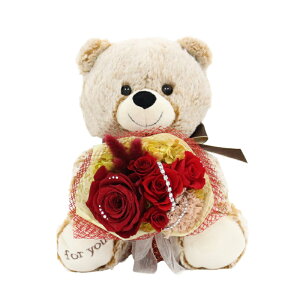 yyVLO1ʁz v|?Y  vU[uht[ o KN [Y ͂Ȃ ԑ u[P ʂ  efBxA A[T _Ch[Y  J[l[V j