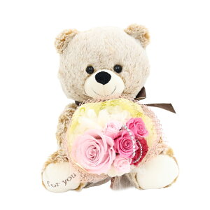 yyVLO1ʁz v|?Y  vU[uht[ o KN [Y ͂Ȃ ԑ u[P ʂ  efBxA A[T _Ch[Y  J[l[V j