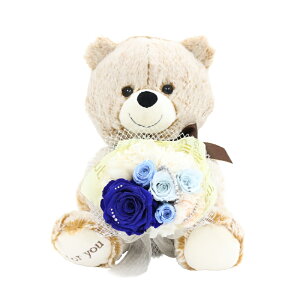 yyVLO1ʁz v|?Y  vU[uht[ o KN [Y ͂Ȃ ԑ u[P ʂ  efBxA A[T _Ch[Y  J[l[V j