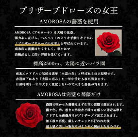 プロポーズプリザーブドフラワーバラ薔薇アモローサダイヤモンドローズデスティニーローズ美女と野獣1本ガラスドーム告白結婚結婚式結婚記念日誕生日記念日プレゼントギフト贈り物彼女妻母女性パートナー花《送料無料店頭受取可》
