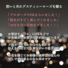 プロポーズプリザーブドフラワーバラ薔薇アモローサダイヤモンドローズデスティニーローズ美女と野獣1本ガラスドーム告白結婚結婚式結婚記念日誕生日記念日プレゼントギフト贈り物彼女妻母女性パートナー花《送料無料店頭受取可》