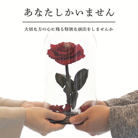 プロポーズプリザーブドフラワーバラ薔薇アモローサダイヤモンドローズデスティニーローズ美女と野獣1本ガラスドーム告白結婚結婚式結婚記念日誕生日記念日プレゼントギフト贈り物彼女妻母女性パートナー花《送料無料店頭受取可》