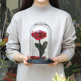 プロポーズプリザーブドフラワーバラ薔薇アモローサダイヤモンドローズデスティニーローズ美女と野獣1本ガラスドーム告白結婚結婚式結婚記念日誕生日記念日プレゼントギフト贈り物彼女妻母女性パートナー花《送料無料店頭受取可》