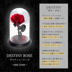 プロポーズプリザーブドフラワーバラ薔薇アモローサダイヤモンドローズデスティニーローズ美女と野獣1本ガラスドーム告白結婚結婚式結婚記念日誕生日記念日プレゼントギフト贈り物彼女妻母女性パートナー花《送料無料店頭受取可》