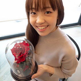プロポーズプリザーブドフラワーバラ薔薇アモローサダイヤモンドローズデスティニーローズ美女と野獣1本ガラスドーム告白結婚結婚式結婚記念日誕生日記念日プレゼントギフト贈り物彼女妻母女性パートナー花《送料無料店頭受取可》