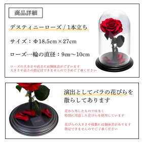プロポーズプリザーブドフラワーバラ薔薇アモローサダイヤモンドローズデスティニーローズ美女と野獣1本ガラスドーム告白結婚結婚式結婚記念日誕生日記念日プレゼントギフト贈り物彼女妻母女性パートナー花《送料無料店頭受取可》