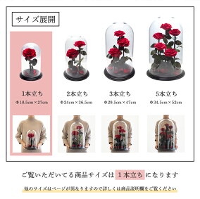 プロポーズプリザーブドフラワーバラ薔薇アモローサダイヤモンドローズデスティニーローズ美女と野獣1本ガラスドーム告白結婚結婚式結婚記念日誕生日記念日プレゼントギフト贈り物彼女妻母女性パートナー花《送料無料店頭受取可》