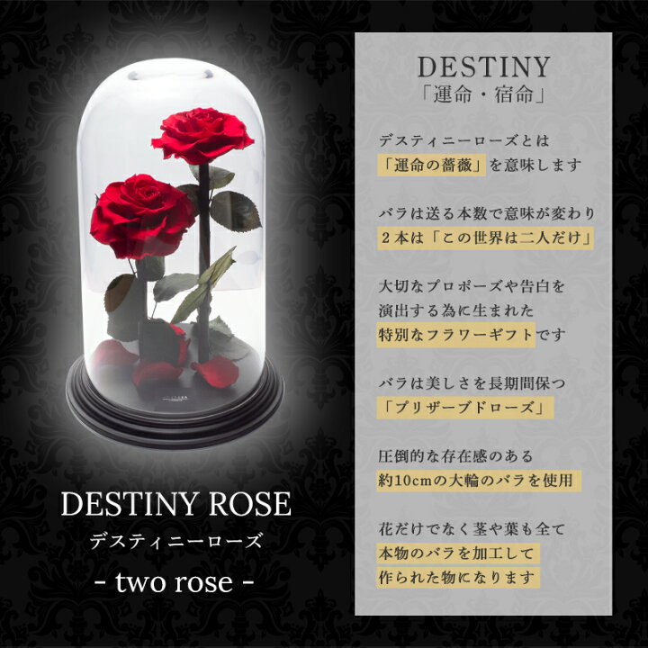 楽天市場 プロポーズ プリザーブドフラワー バラ 薔薇 アモローサ ダイヤモンドローズ デスティニーローズ 美女と野獣 2本 ガラスドーム 告白 結婚式 結婚記念日 誕生日 記念日 プレゼント ギフト 贈り物 彼女 妻 母 送料無料 プリザーブドフラワーsoelflowers