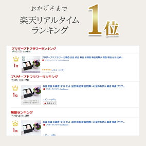 ランキング1位