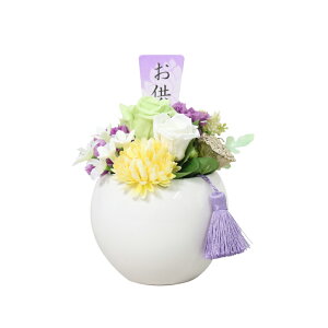 ~ ~   Mtg  Zbg 蕨   V~ 䋟   vU[uht[  i  AWg fBYj[ ~bL[ ~j[   ʖ 