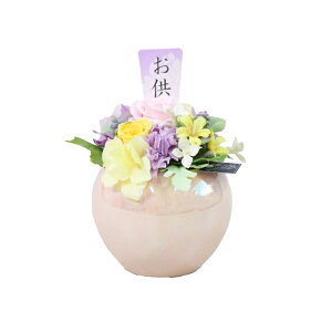 ~ ~   @v 蕨   Mtg Zbg ̉ ˔ V~  ~  a vU[uht[ 䋟  i   AWg   