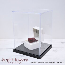 ディスプレイケース ウインナーケース コレクションケース ギフトケース ショーケース フィギュアケース クリアケース 装飾 保存 保管 保護 埃 ほこり ホコリ 湿気 防塵 防滴 防湿 組み立て 組立 折りたたみ 簡単 記念品 プレゼント 贈り物《 あす楽 15時〆 》