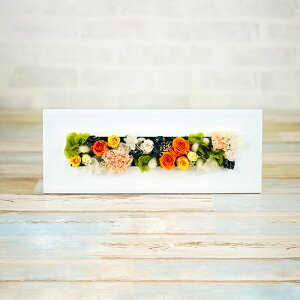 v[g vU[uht[ o AWg Ebht[ O Mtg J[l[V LO a Nj j 蕨 t[Mtg X JX J J@ Vz 