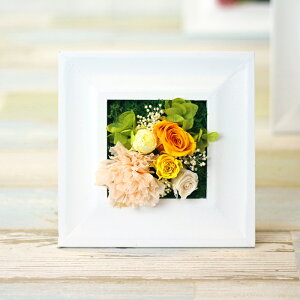 �v���[���g �v���U�[�u�h�t�����[ �� �o�� �A�����W�����g �E�b�h�t���[�� �X�N�G�A �ؐ� �����L�O�� �����j�� �a���� �M�t�g ���蕨 ���j�� �җ�j�� ���X �J�X �J�� �V�z ���z �ސE ���� ��